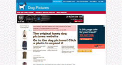 Desktop Screenshot of dog-pictures.thepaw.com